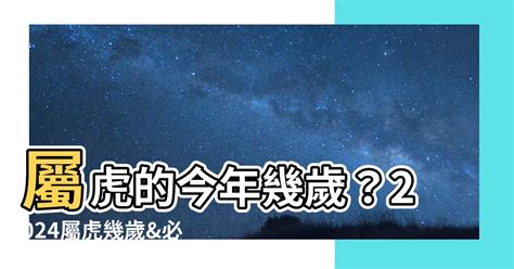 屬豬的吉祥物|2024屬豬幾歲、2024屬豬運勢、屬豬幸運色、財位、禁忌